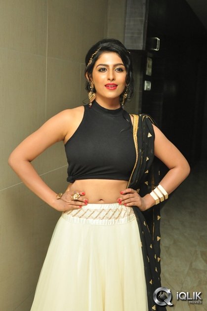 Kruthika-Jayakumar-At-Rojulu-Marayi-Audio-Launch